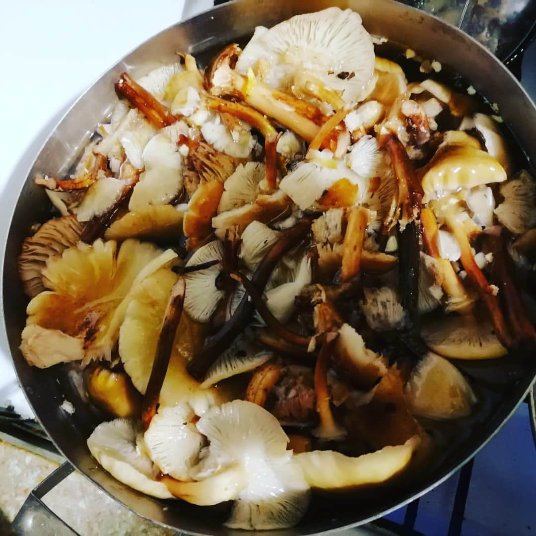 rusik_moroz в LOOKY — Готовим вкусные запасы на зиму)