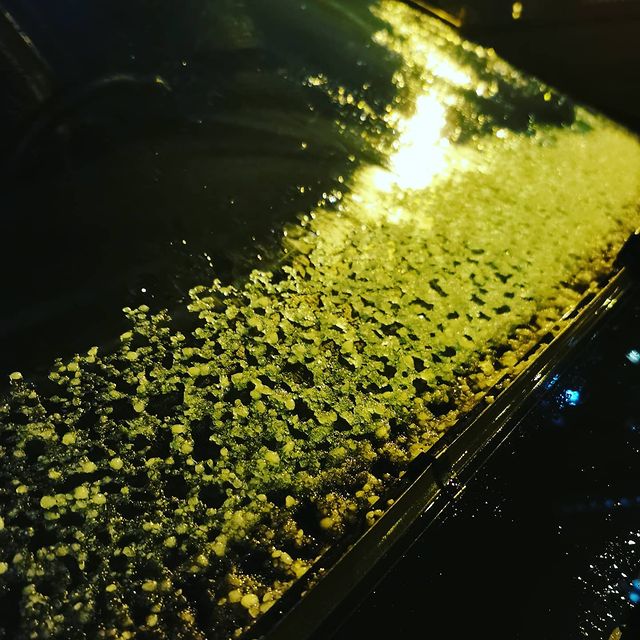 alexeybarukin в LOOKY. #снег,#первыйснег#снегвпитере#спб#приморскийрайон,#p30pro,#huaweip30pro,#снятонаhuawei#mobilephoto#mobilephotography#piter#snow. С первым снегом, Пит...