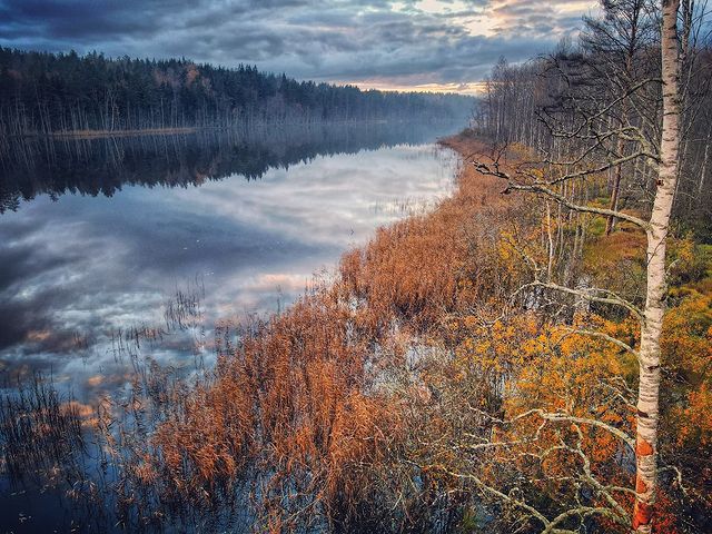 mnesverhuvidnovse в LOOKY. #нелетнаяпогода,#карельскийперешеек,#природалучшийхудожник,#осенняяпора,#осеннийлес,#autumnweather,#autumnphotography,#dronepointofview,#dronepic. Нелётная погода
Non-...
