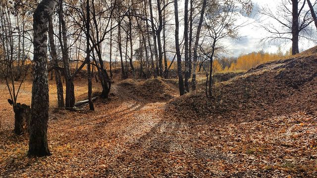 parktrail в LOOKY. #parktrail. Мы готовимся к главн...