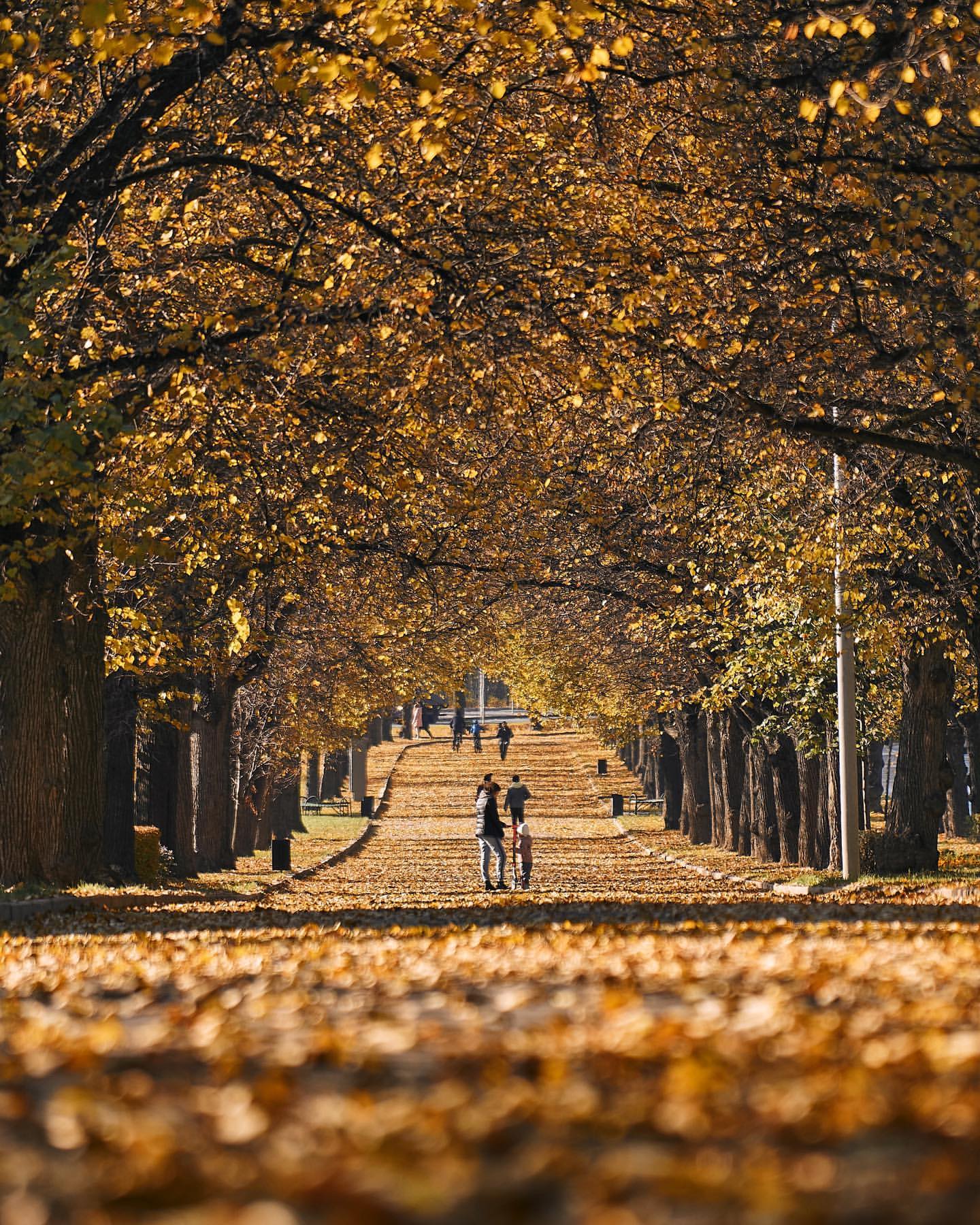 egorgoose в LOOKY. . 🍂