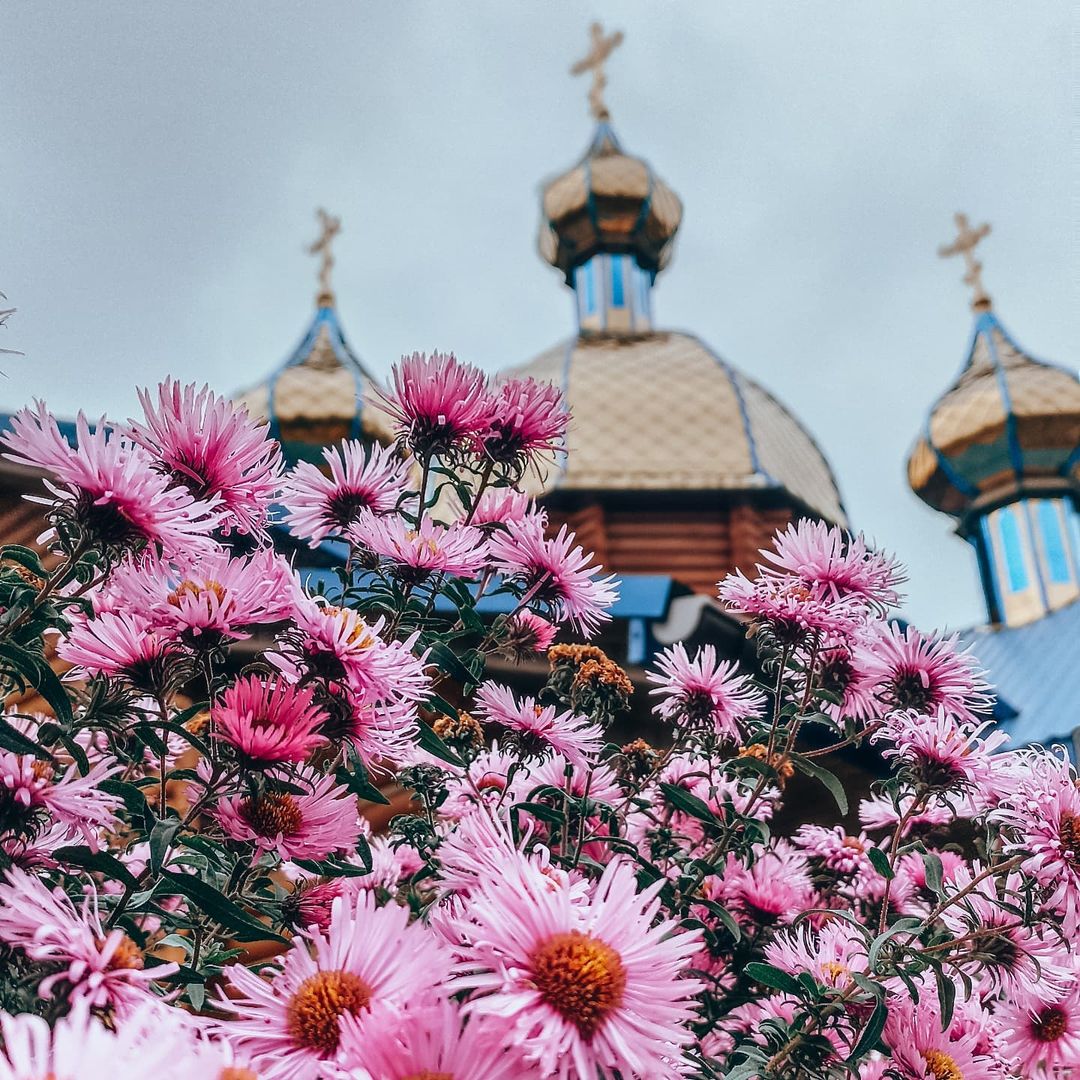 mirai_taro в LOOKY — Подбираем ракурс 😌🤩