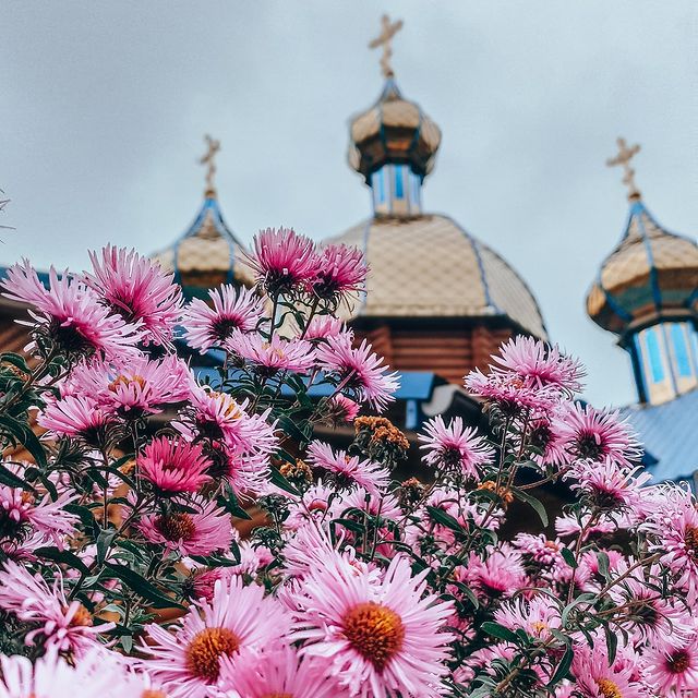mirai_taro в LOOKY. . Подбираем ракурс 😌�...