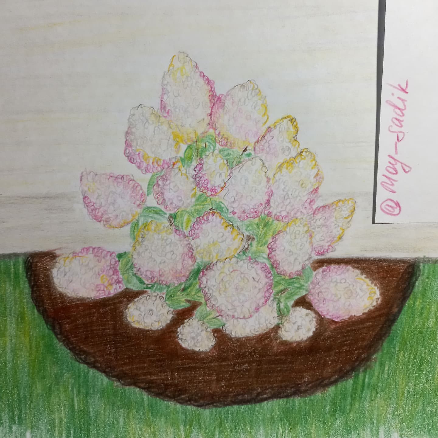 l.e._l.e.n.a в LOOKY. #мой_садик_конкурс_рисунка,#гортензия,#лаймлайт,#рисунок,#hydrangea,#drawing,#limelight. Моя любимая Лайм лай...
