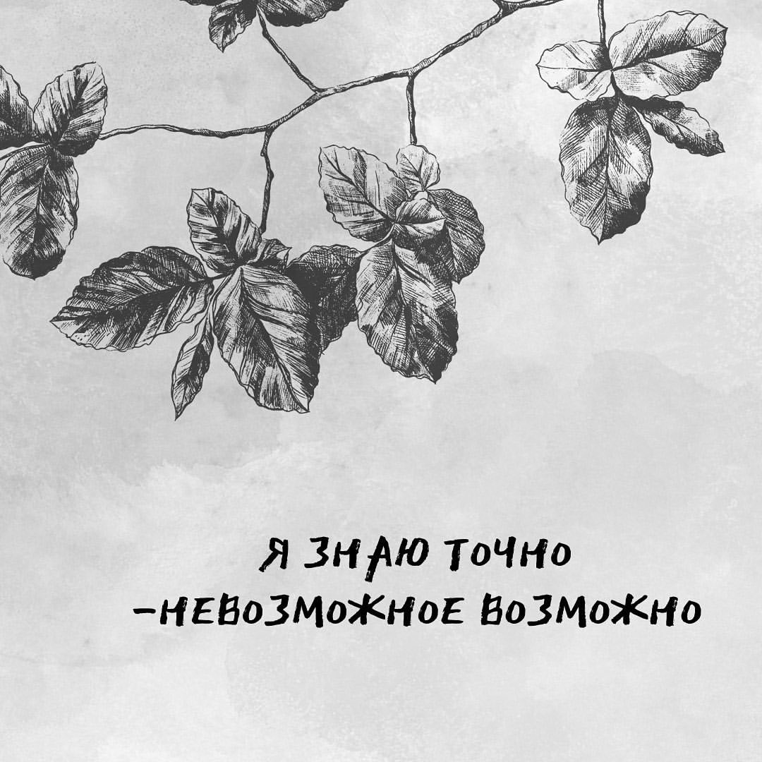 stella_1_numerolog в LOOKY — фото 1