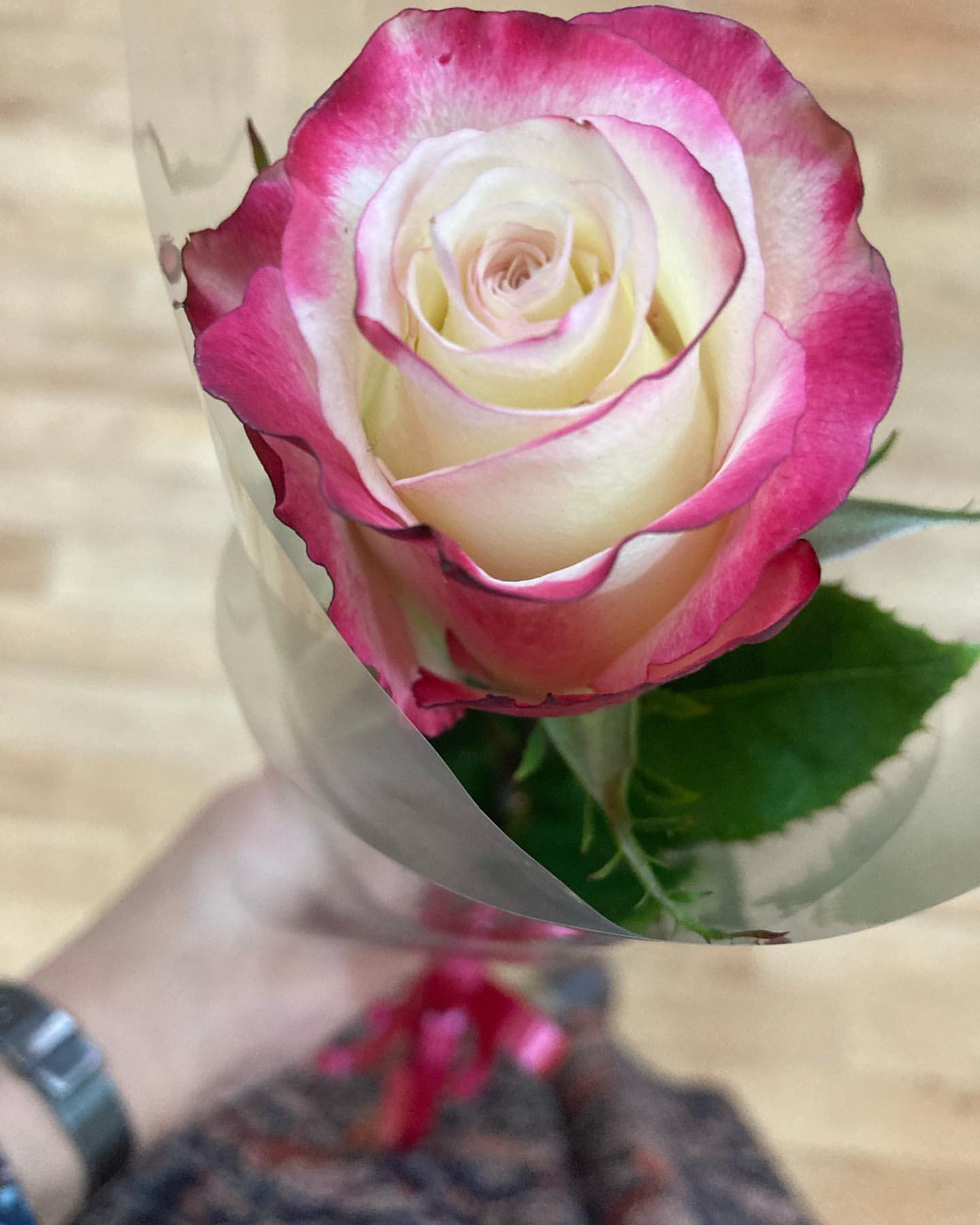 olgacsmt в LOOKY. #beautifulrose. #beautifulrose