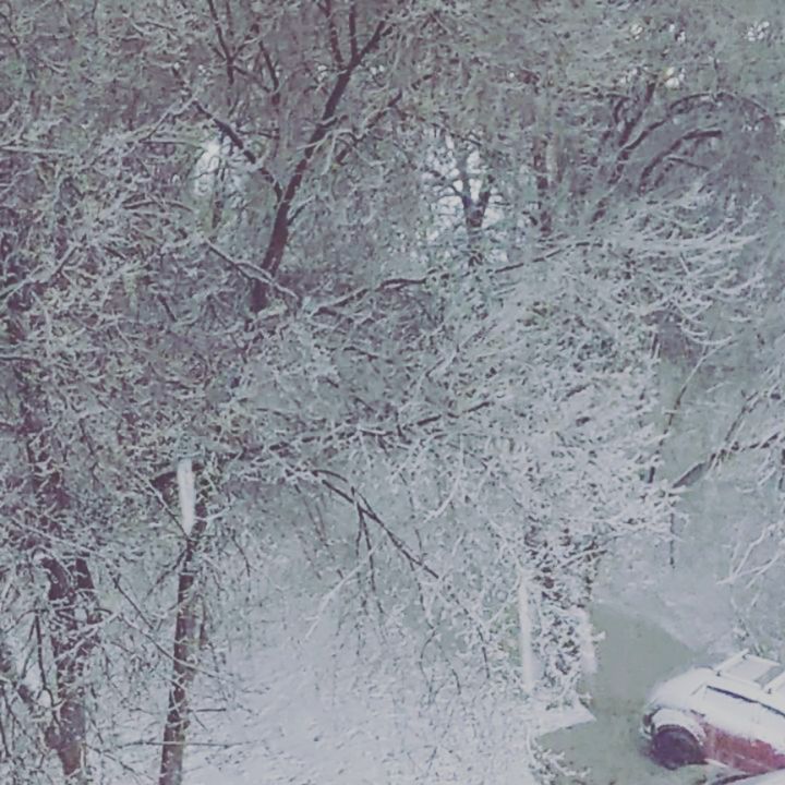 olgaserbul6323 в LOOKY. . Первый снег!!!😃👍