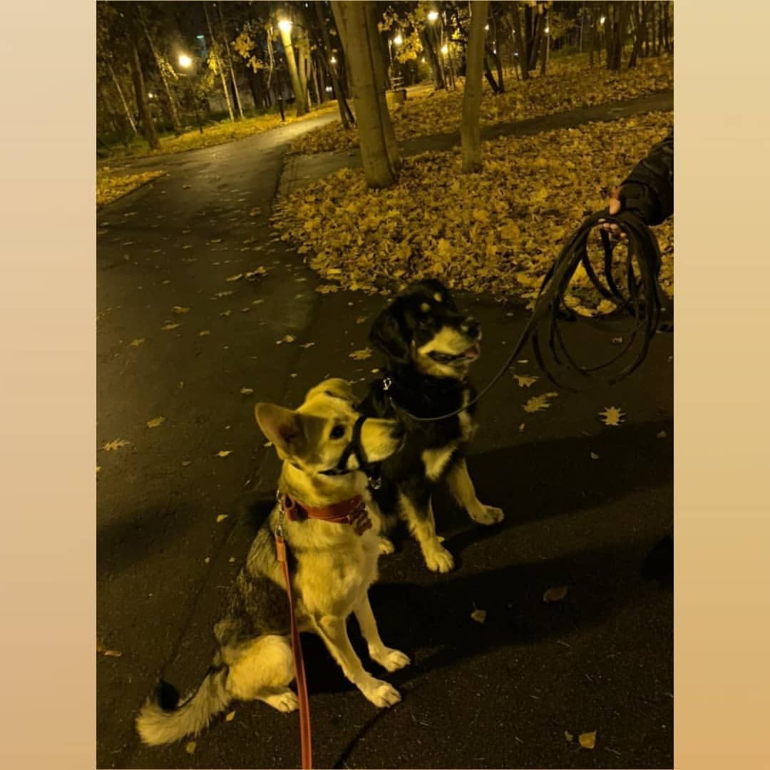 Вечерние прогулки