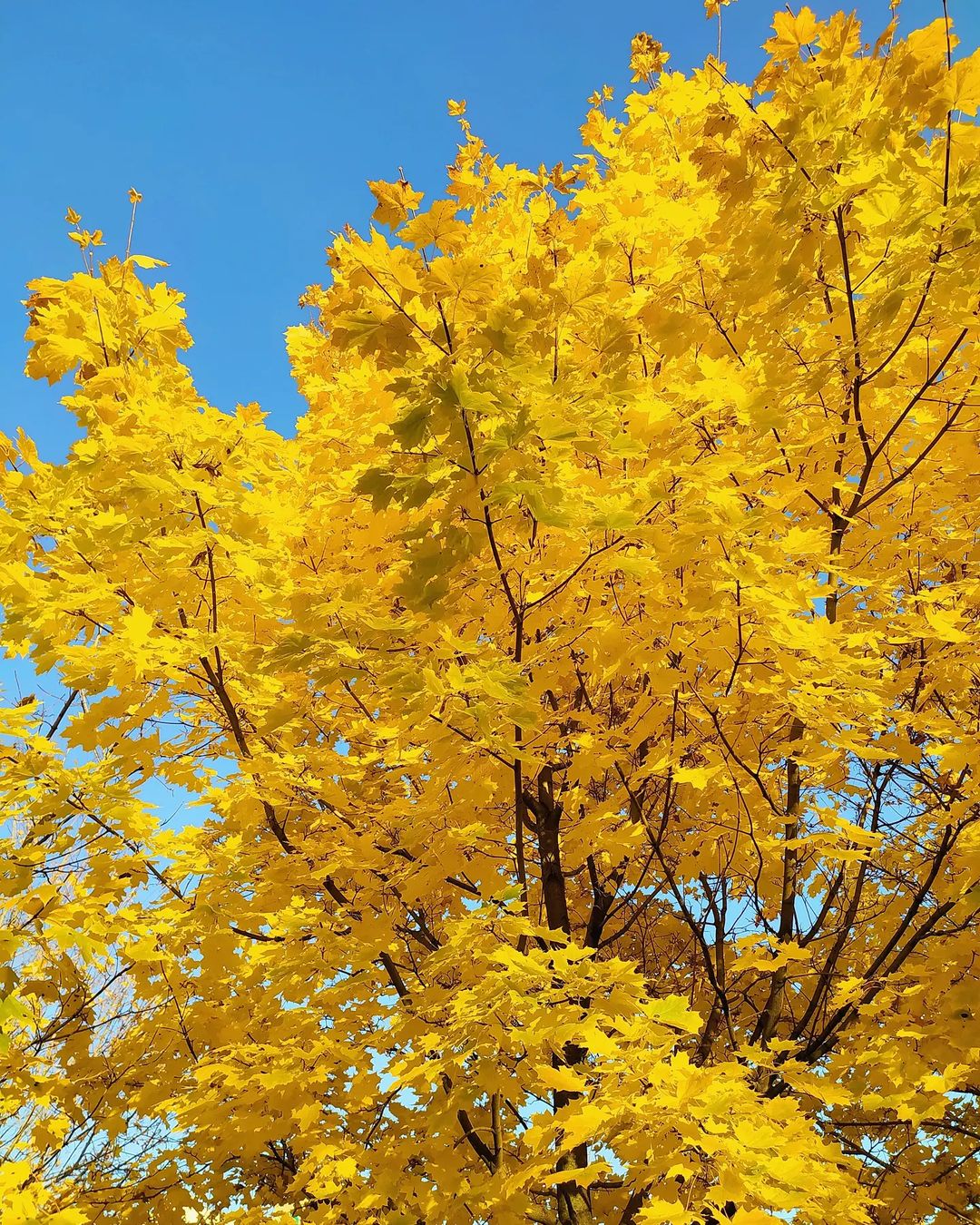 li_m_elina в LOOKY — фото 8