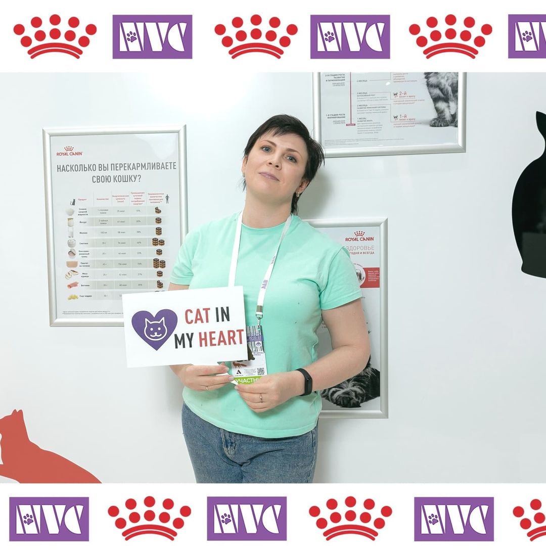 mycatgrooming in LOOKY. #грумингкошек,#люблюучиться,#nvc,#nvc2021,#catgroomer,#catgrooming. Снова отпуск с ветер...