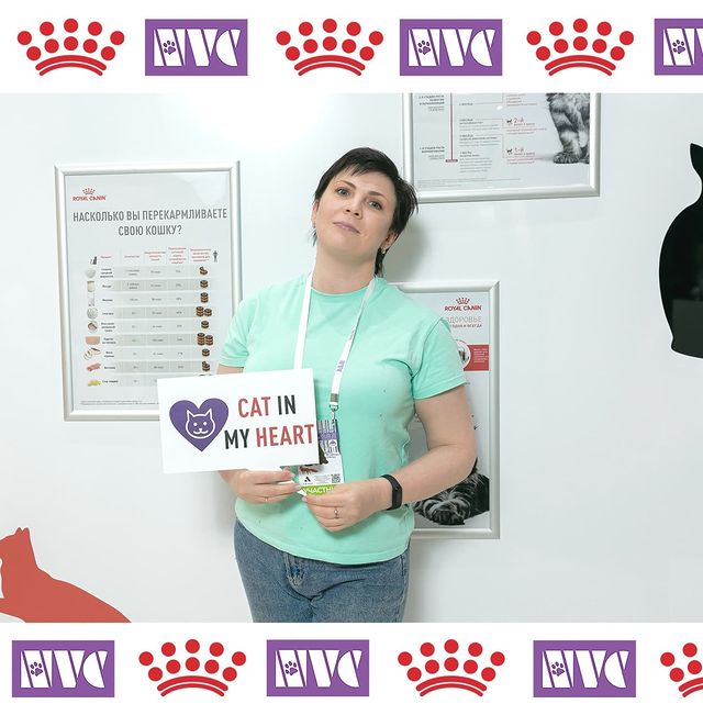 mycatgrooming в LOOKY. #грумингкошек,#люблюучиться,#nvc,#nvc2021,#catgroomer,#catgrooming. Снова отпуск с ветер...