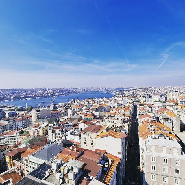 ntldr в LOOKY. . null