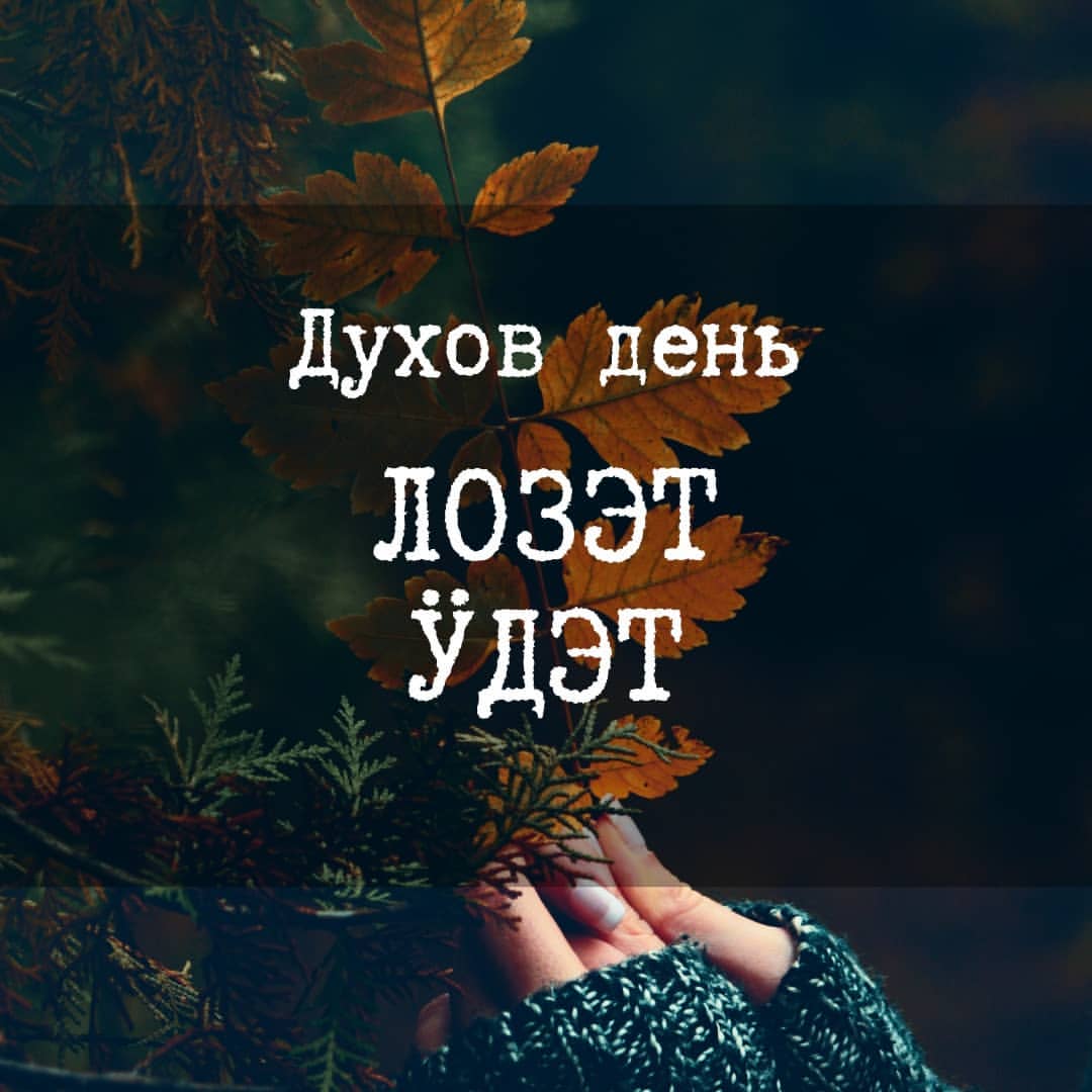 ilsat_tomsk в LOOKY — Духов вечер 🌕  Лозэт ӱдэт

Друзья, кажется, зима близко! Не