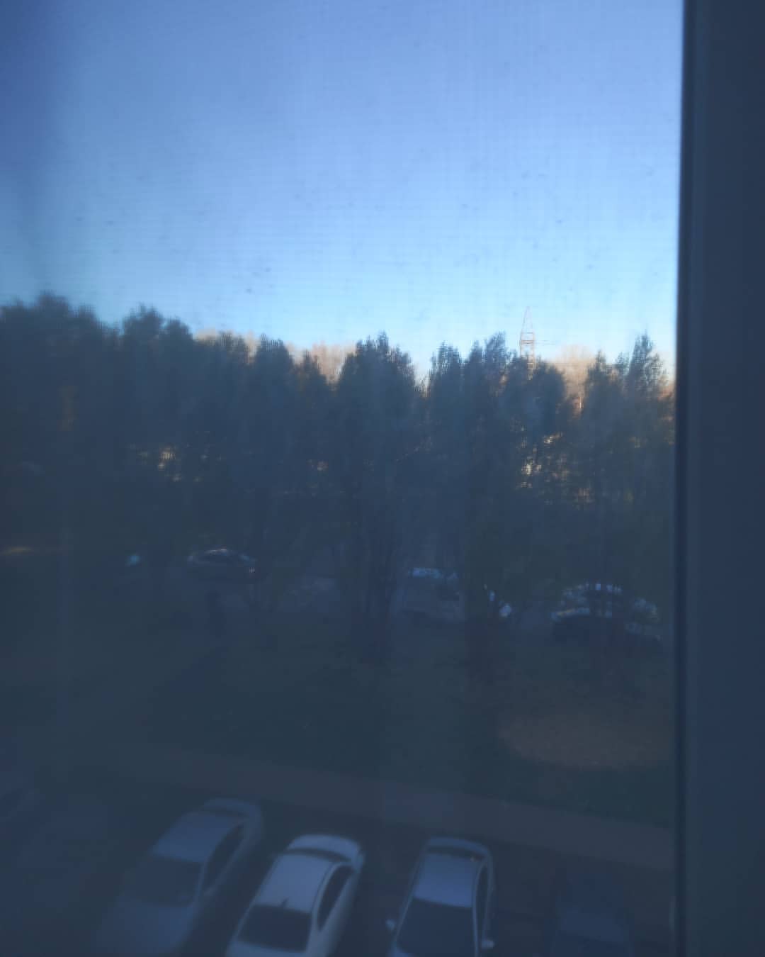zhenya.leonteva.76 в LOOKY — Доброе утро)☀️☀️☀️
#доброеутро #утро #goodmorning