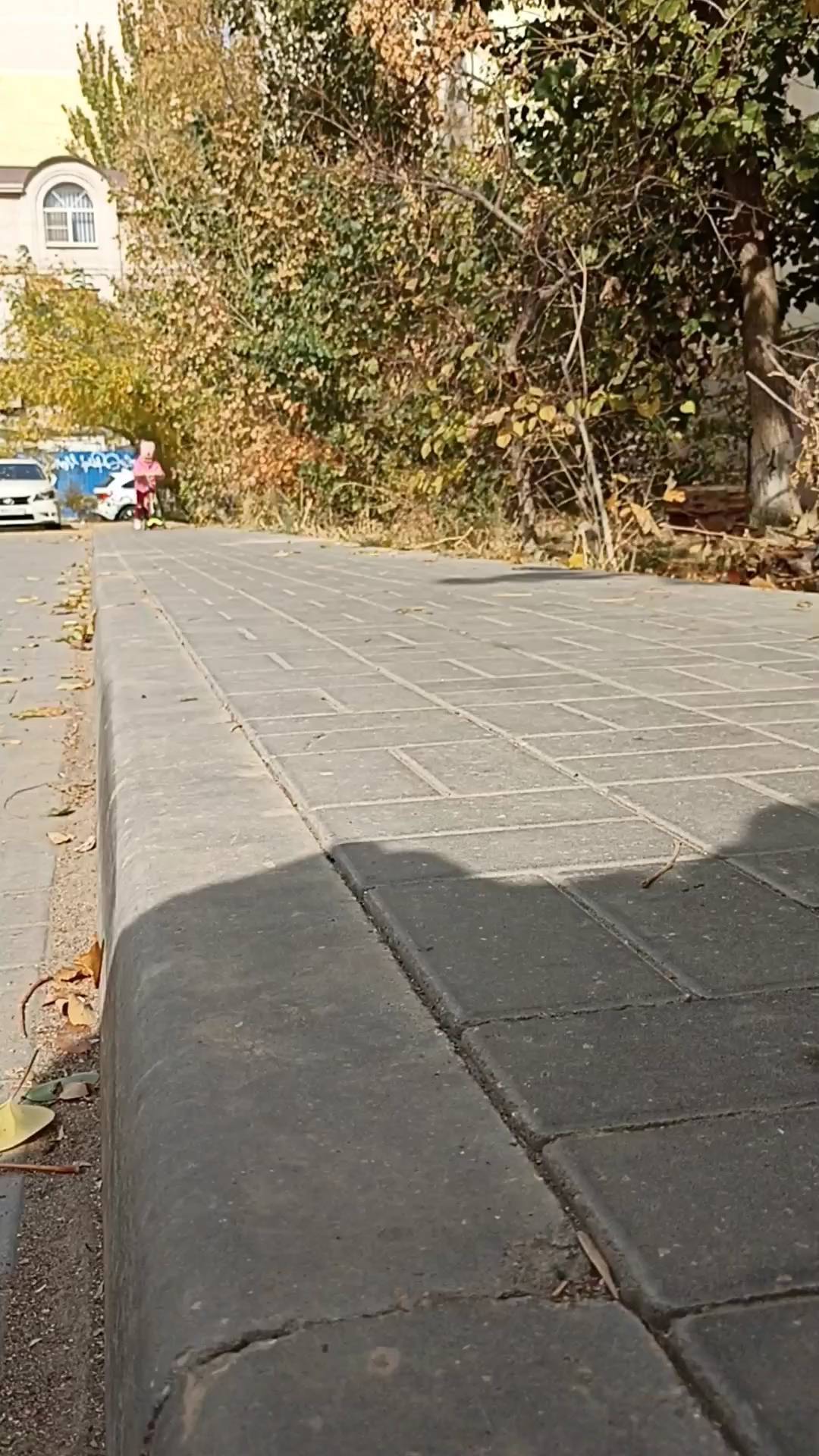 regina.bayzakova22 в LOOKY. . Осень, солнце, гоняе...