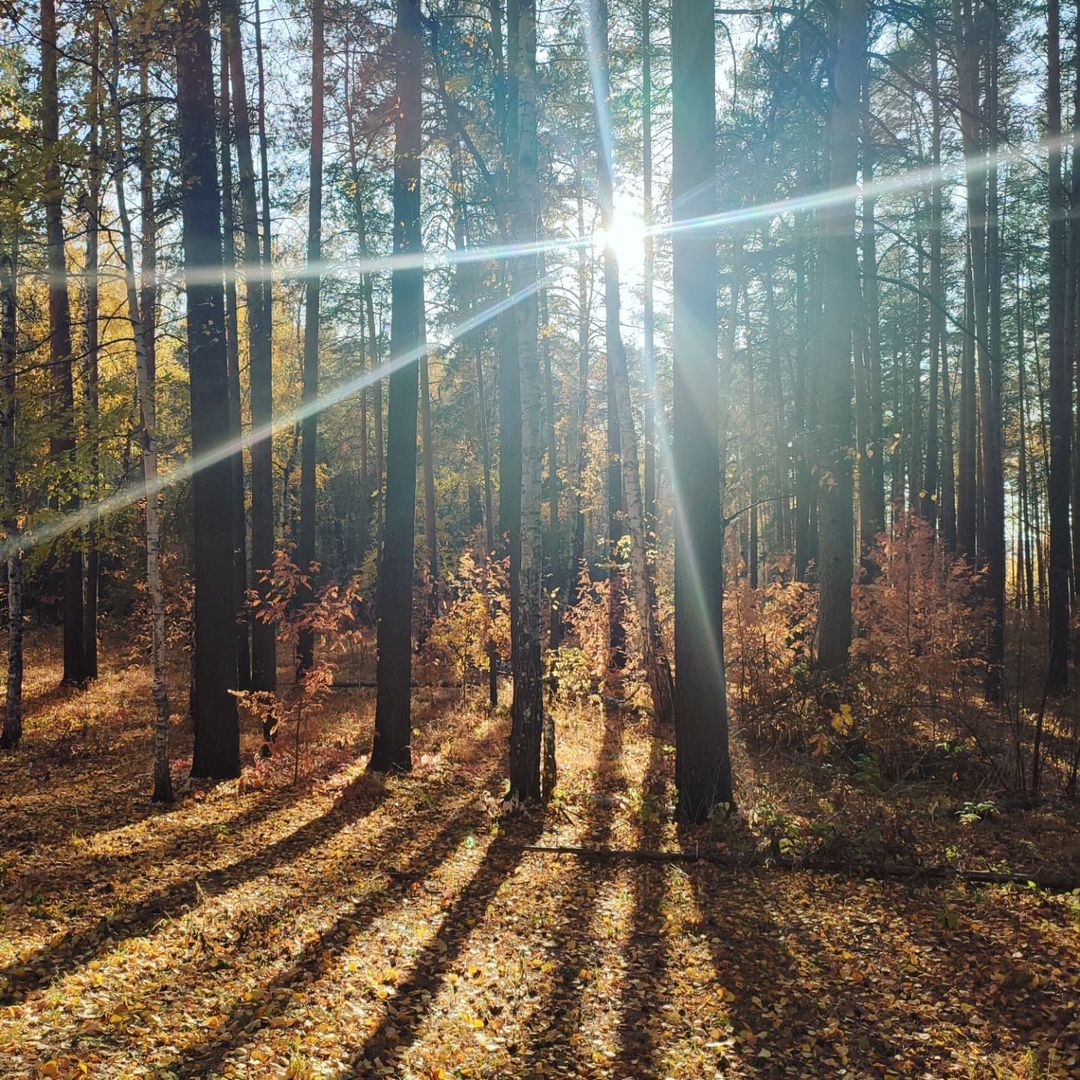 Тёплая осень, как прощальный поцелуй уходящего лета... 🍁🍂🌾

Очень не хватает солнышка 😔

#заречный#осень#красота#погодка#люблютепло☀️