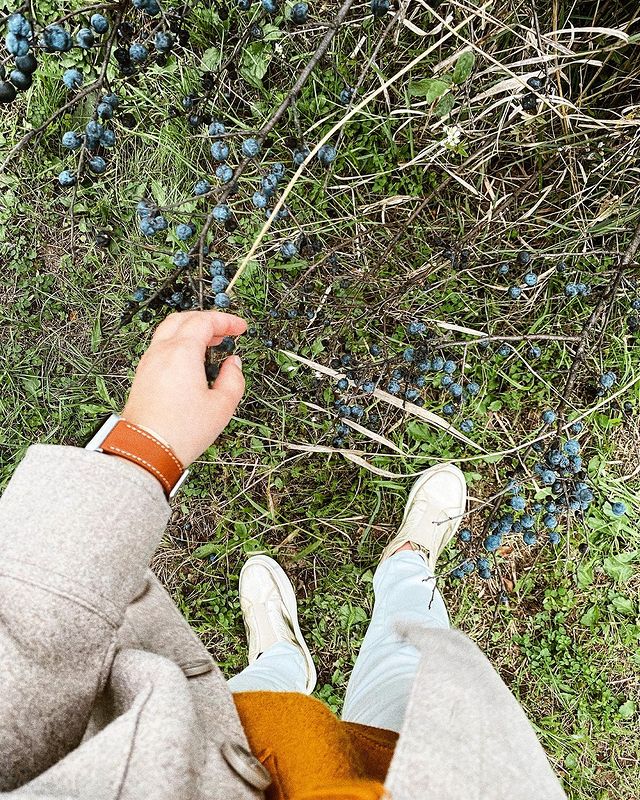 diana_gonharova в LOOKY. #communityfirst,#mobilemag,#thislifetoday,#autumnvibes,#bestofvsco,#tvliving,#shotaward,#photographyislifee,#ftwotw,#vscorussia,#krdgram,#вдохновение,#краснодар,#vscocreations,#click_vision,#ftwwne,#photoworldh,#inspirerussia,#instablishment,#autumnstyle,#madrussians,#vscokrasnodar,#такяснимаю,#vscorussia,#visualseduction,#instarussia,#ilove_simplebeyod,#thestreetnetwork,#autumnmood,#simplebeyond,#littlestoriesofmylife. 𝒪𝒸𝓉𝑜𝒷𝑒𝓇 𝓋𝒾�...