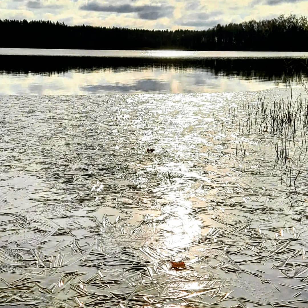 Ночные заморозки,  первый лёд на Срамном (Островном) озере
#первыйлед #белоозерский  #осень #срамноеозеро #подмосковье #природа Подмосковья