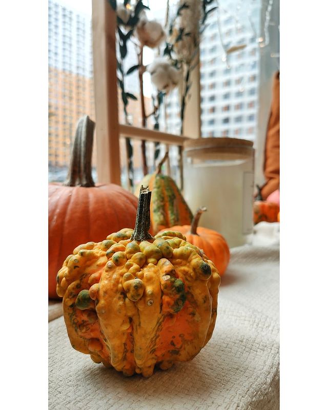 fiyorudo в LOOKY. #autumninthecity,#pumpkin,#interior. #autumninthecity #pu...