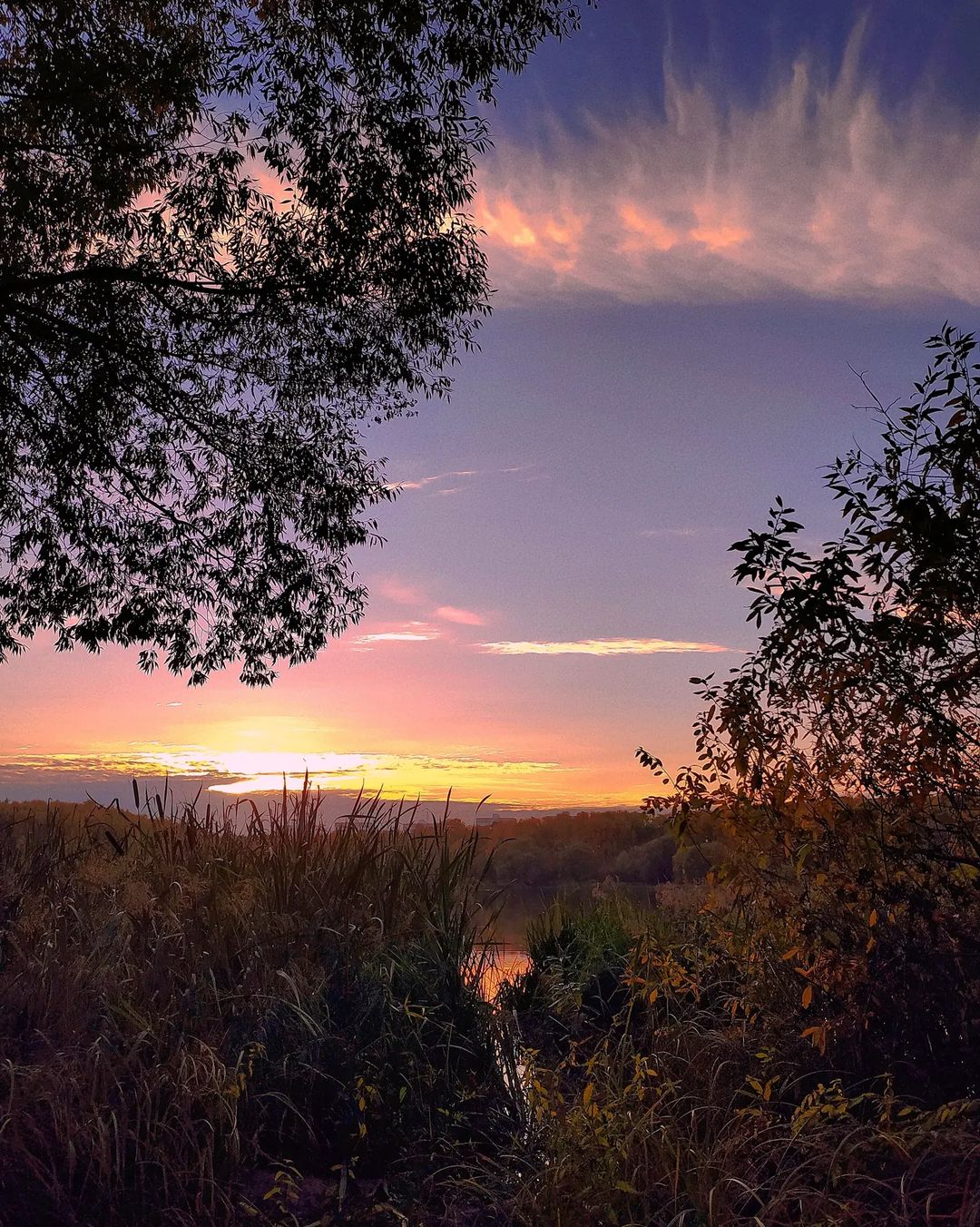 li_m_elina в LOOKY — фото 7