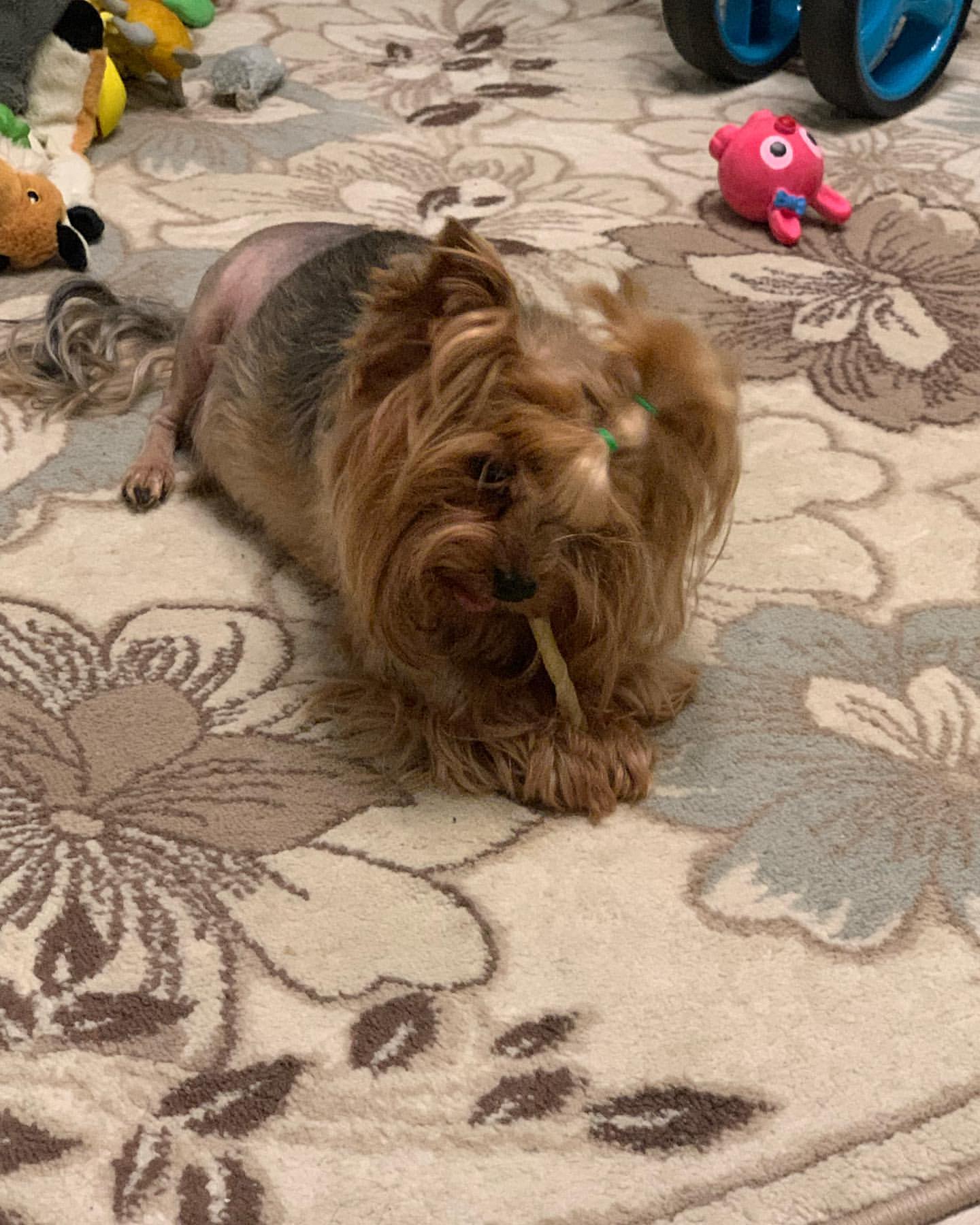 oxanafil71 в LOOKY — фото 2