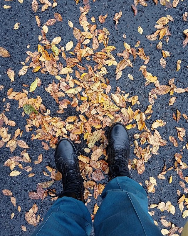 ari_shakirova18 в LOOKY. . null