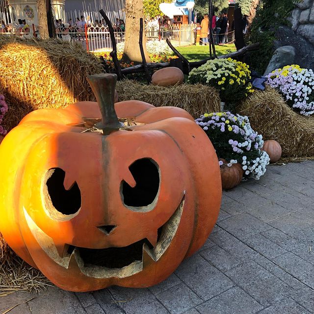 svetasn_ в LOOKY. . 🎃🎃🎃#хэллоуин
