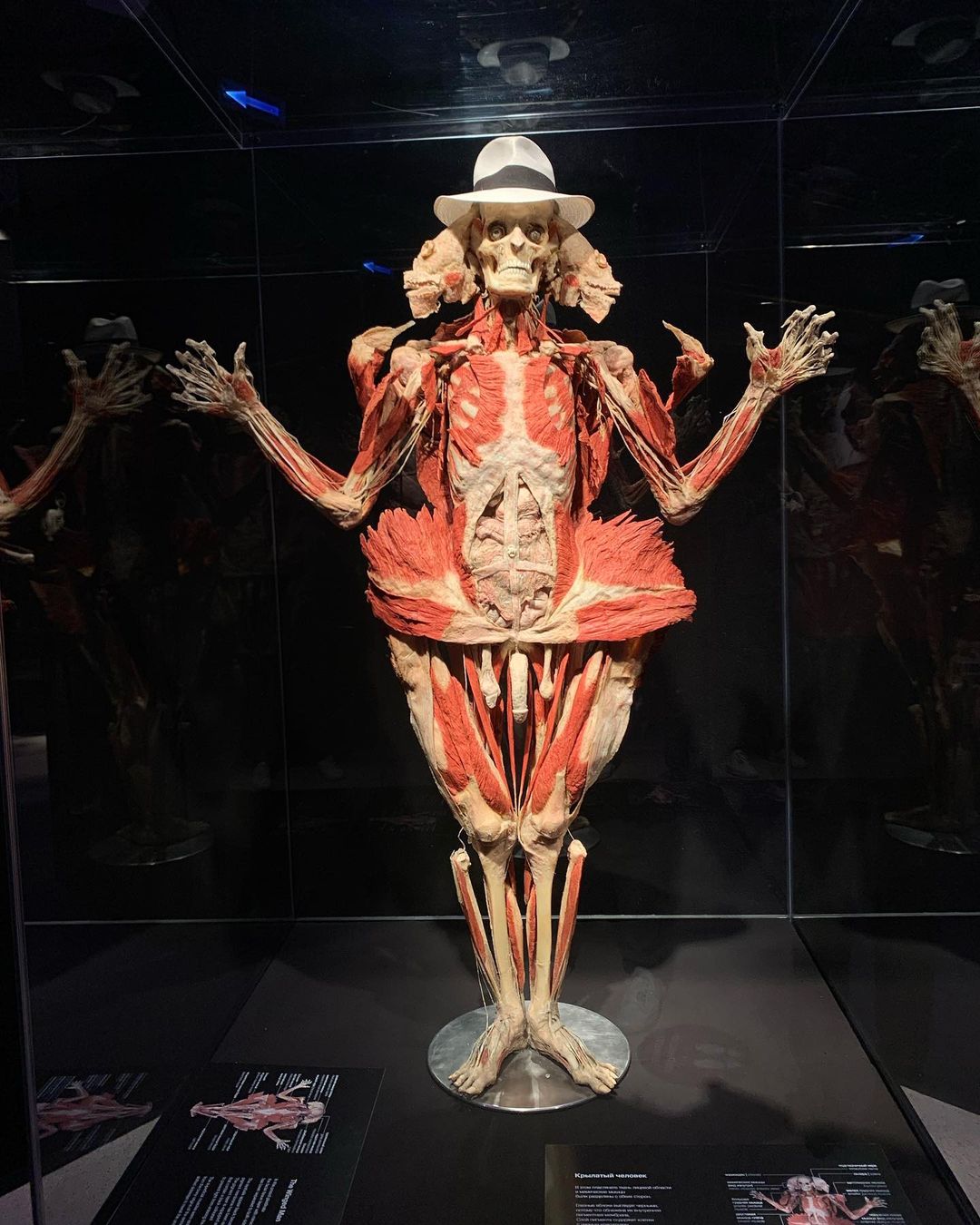 tank_waste в LOOKY — фото 2