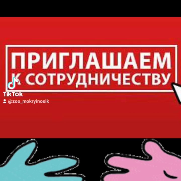 mokryinosik в LOOKY. #кормоптом,#кормадлясобак,#зоомагазинчелябинск. Приглашаем к сотрудн...