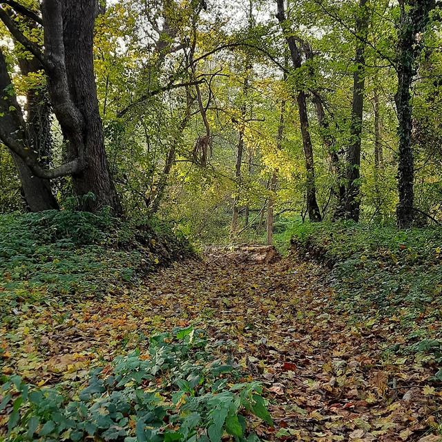 vit__ta в LOOKY. . 30.10.21