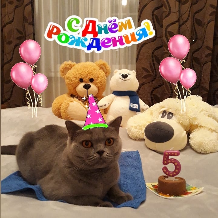 cat_musia_star_and_sima в LOOKY — 🎁 ДЕНЬ РОЖДЕНИЯ 🎁

Приветики, мои любимые друзья! ❤❤❤
Сего
