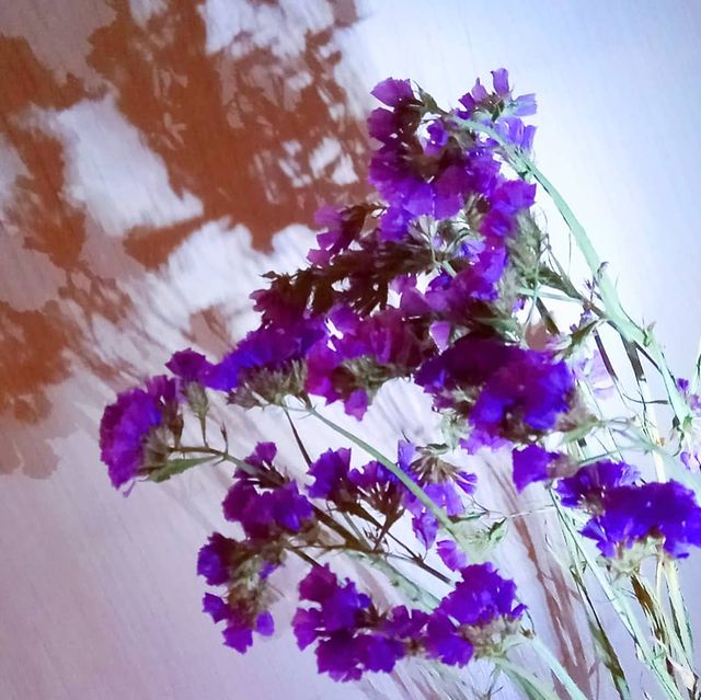 sea_inaa в LOOKY. #supermobphoto_f13,#supermobphoto_f13_результат. #supermobphoto_f13
#...