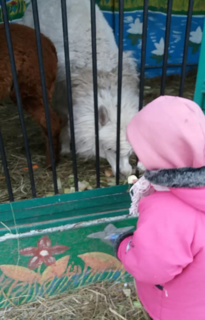 e_gurkaeva99 в LOOKY. . Моя❤