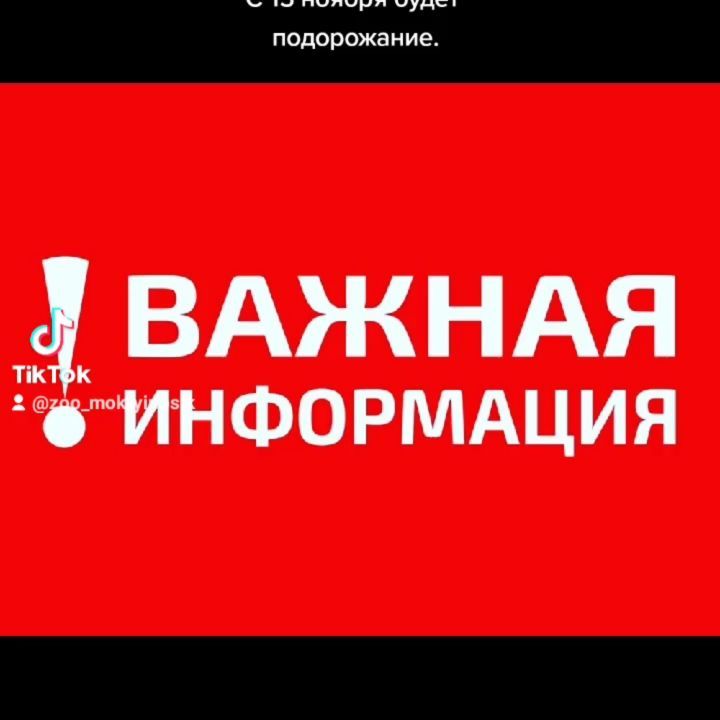 mokryinosik в LOOKY. . К сожалению в наше в...
