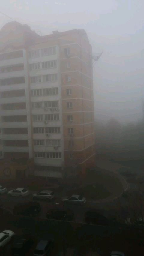 gal.in321 в LOOKY. #мгла. #мгла