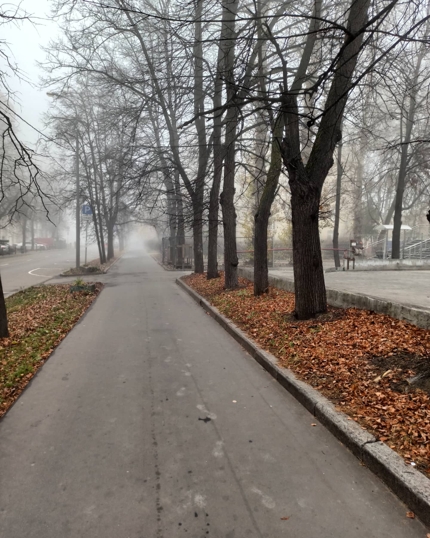 gorbachev_maxim в LOOKY. . null