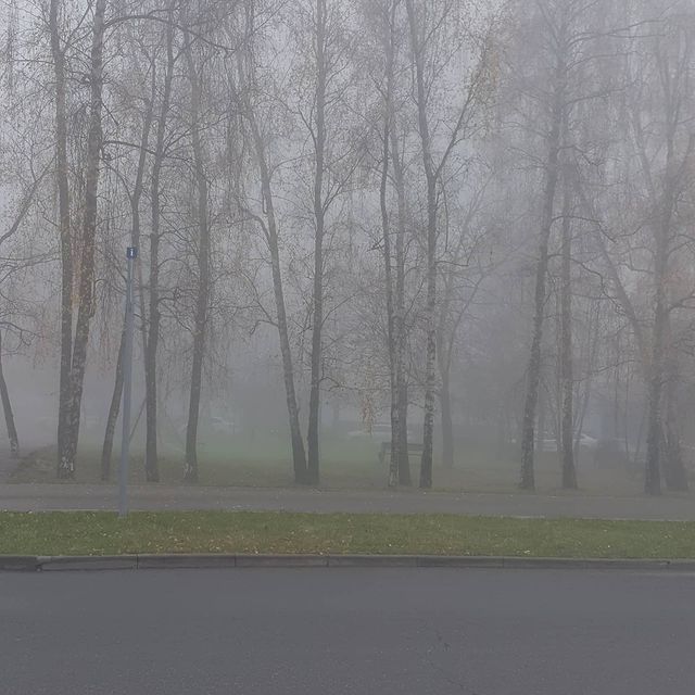 svetlanamaslova1783 в LOOKY. . null