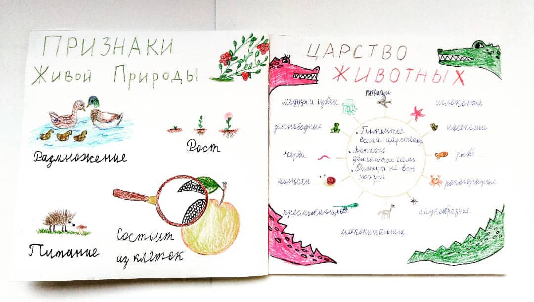 arhireevan в LOOKY. . Окружайка с @hurlybu...
