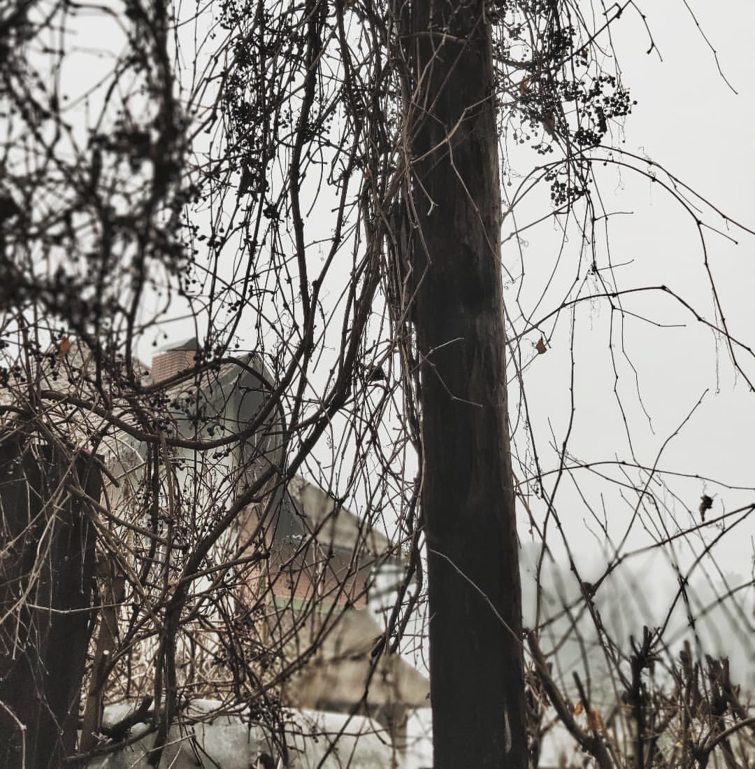necromagica в LOOKY — День в тоскливом октябре. Атмосферная фотография.