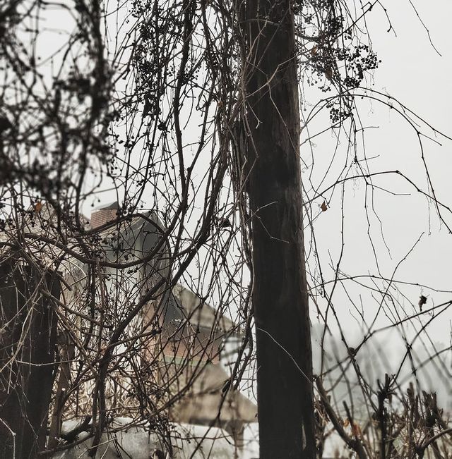 necromagica в LOOKY. . День в тоскливом окт...