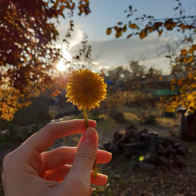 _andonenko_ в LOOKY. . В каждом мгновении о...