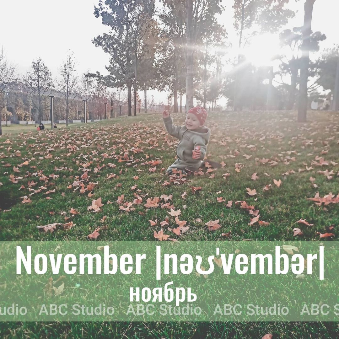 🍂The leaves were tinged red in November.

🍂В ноябре листья слегка покраснели.

#английский #английскийязык #английскийонлайн #учитьанглийский #учитьанглийскийонлайн 
#английскиеслова #английскиесловаспереводом #красивыеслованаанглийском #словарныйзапаснаанглийском