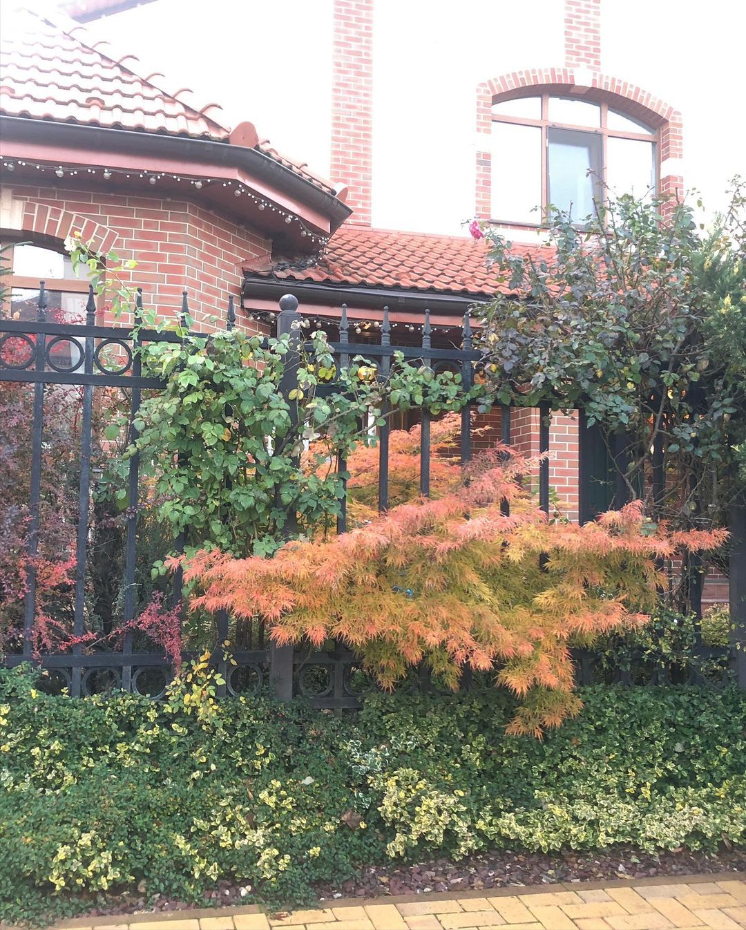 Красивая осень в НД #ноябрь2021🍁 #осенниекраски🍃🍁🍂 #каникулы #