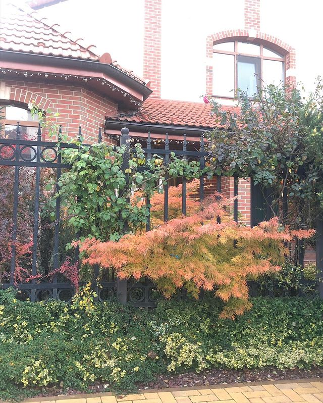 irina_kokins в LOOKY. #ноябрь2021🍁,#осенниекраски🍃🍁🍂,#каникулы,#. Красивая осень в НД ...