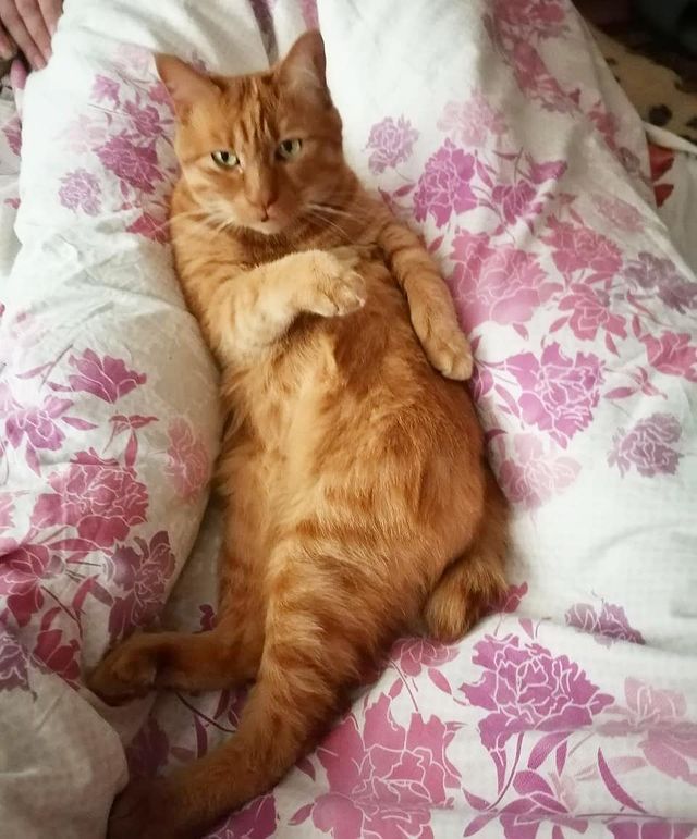 kotya_cat_khv в LOOKY. . Ноябрь на дворе, а м...