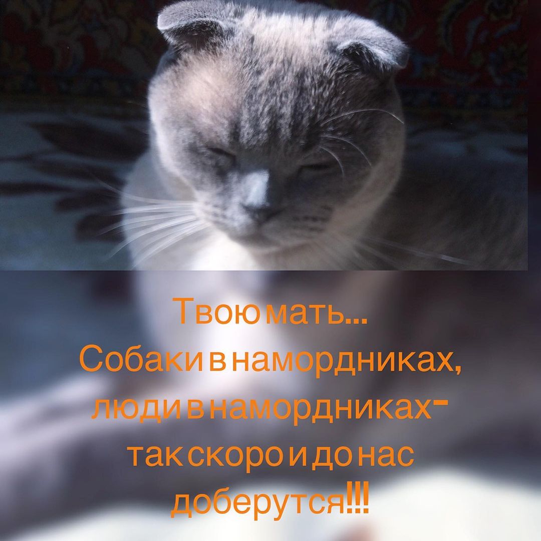 levchanckiy в LOOKY — #лёвалевчанский #золотойфонддрузей #кланарбузино #лёвалев