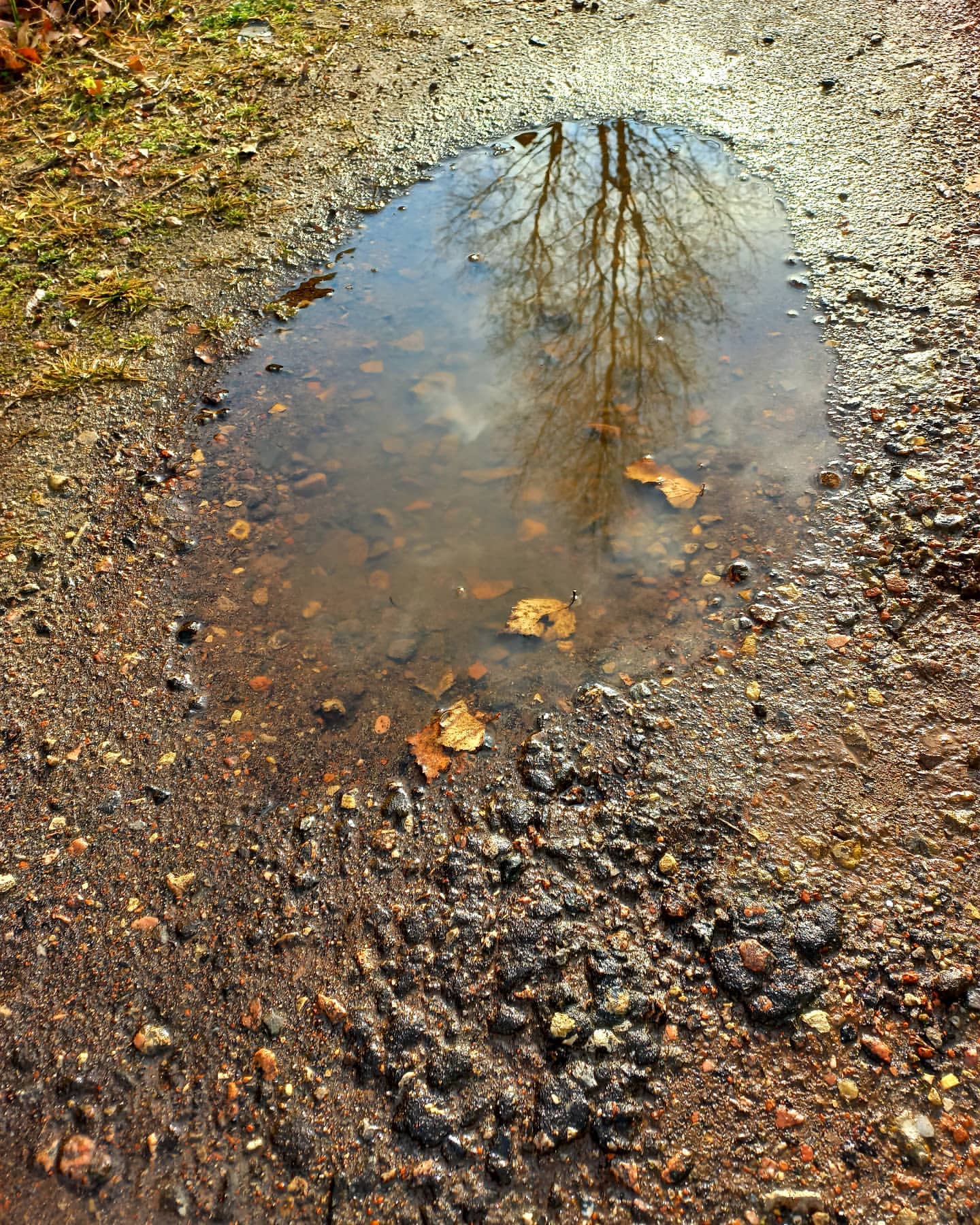 l.e._l.e.n.a в LOOKY. #autumnmood,#autumn,#настроение,#настроениеосень,#осень,#природа,#прекрасноерядом,#nature,#naturelovers,#naturelover. #autumnmood #autumn ...
