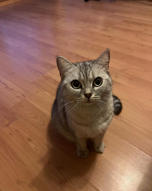 alfiya_23a в LOOKY. . Моя Соня 🥰