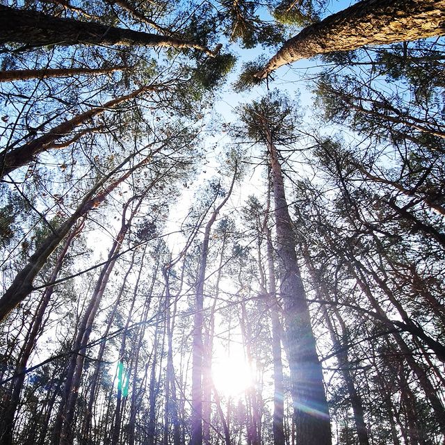 anya.love_life в LOOKY. . Не/ привлекательный ...