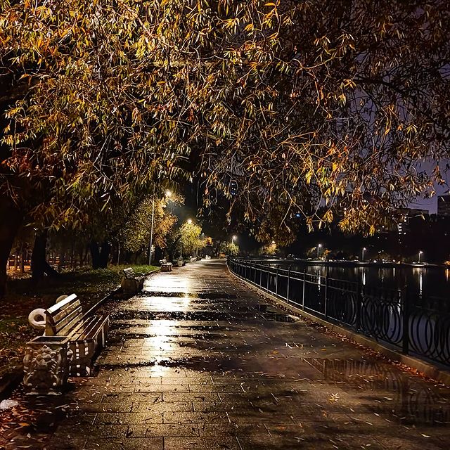 dana_kerroll в LOOKY. #осень,#осеньювроссии,#оченьдепрессивно,#выходитьнаулицу,#даженепросименя,#russia,#autumn,#moscow,#silence,#night,#набережная,#настроение. Ноябрь в печень - ни...